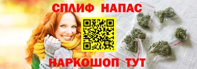 сатива Обь