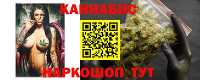 сатива Обь