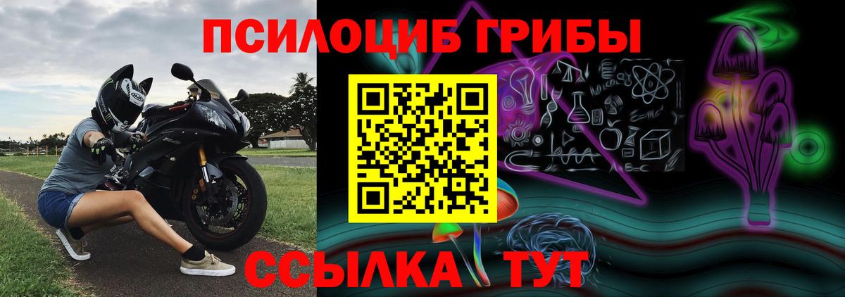 Псилоцибиновые грибы мицелий Спасск-Дальний